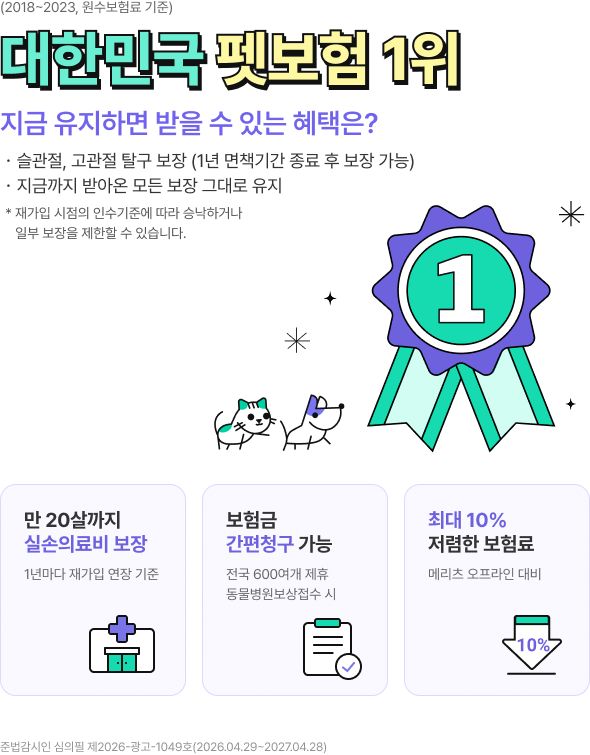 대한민국 펫보험 1위 관련 설명