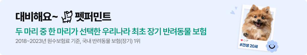 강아지 반려동물 보험 설명