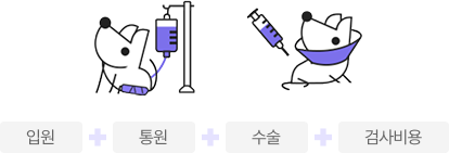 입원+통원+수술+검사비용