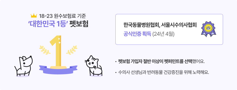 대한민국 1등 펫보험 설명
